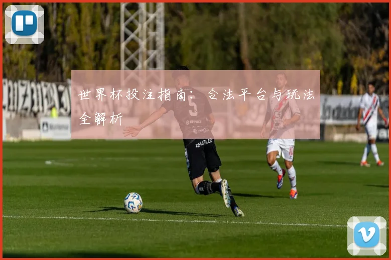 世界杯投注指南：合法平台与玩法全解析